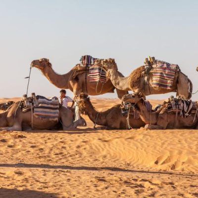“MOROCCO” Sahara Desert in Marrakech