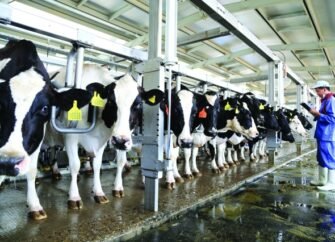 Al Ain farms for livestock production in Al Ain, March 11, 2015.  Photo By Imran Khalid